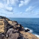 신엄돌담 민박 이미지