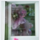 천안신촌초등학교 이미지