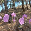 담산농장 이미지