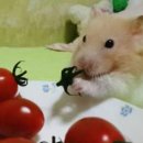 명일푸드