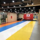 경희대 석사 태비 태권도 이미지