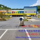 진달래유치원 이미지