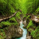 호수속의동화풍경 | 슬로베니아 블레드 호수: 동화 속 풍경 같은 자연 친화 여행