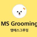 엠에스그루밍 | 처음으로 애견호텔에 가다🐶