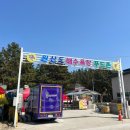 원산도 해수욕장 푸드존 이미지