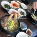 미가정세교