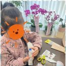리라피아노교습소