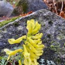 한티가는길 이미지