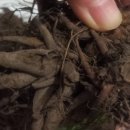 수영농장 이미지