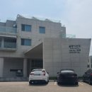 양양 카페 추천, 솔향기언덕 카페로그 통창 숲뷰 북카페 후기
