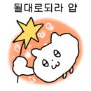 정릉차바닥