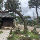 보성전집 이미지