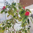 나무와창 이미지