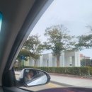 저스트도그 기업도시점 네이버블로그