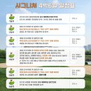 오렌지골프투어