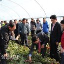 명성자원 이미지