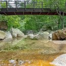 더리조트멍 이미지