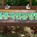 원동자연휴양림 이미지
