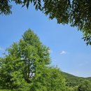 인천대공원 야영장 이미지