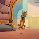 톰과제리 이미지