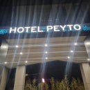 호텔 페이토 | 양재역 도보 2분 강남 가성비 숙소, 호텔 페이토 강남 내돈내산 후기 (주차 헬스장 루프탑)