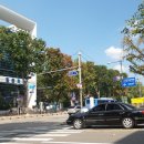 마로니에공원 이미지