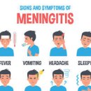 뇌수막염 증상 원인 검사 예방 (어린이) 이미지