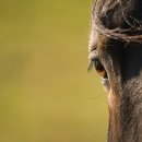 나주유도관 이미지