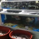 연아수산 이미지