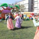 금산인삼약초건강관 네이버블로그