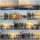 동남건재 | [2026 Peter & Petitsam's Singapore Travel Story] 2026.05.03(SUN)-05.04(MON)