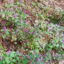 숯방 나드리 이미지