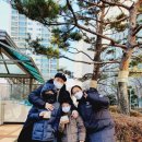 용인대 가온합기도 이미지