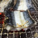 싱싱장어 - 부천시 원미구 조마루로386번길 52 | 싱싱장어