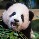 헤브어굿데이 이미지