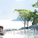 파라다이스호텔 이미지