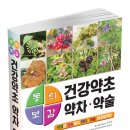 건강 약초 이미지