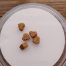 사랑하개 이미지