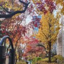 신관약국 이미지