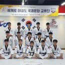 세계로태권도 이미지