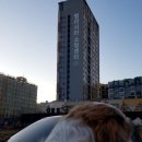 (주) 하늘펫 이미지