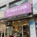 플라워로데