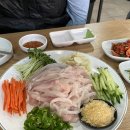 구룡포막회 | 교대역 막회 맛집 ‘구룡포막회’ 평일 점심 솔직후기
