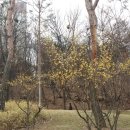 동탄센트럴파크 테니스장 이미지