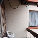 모텔로제 이미지