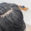 씨엘로헤어신대지구점