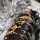 순이네 김밥 네이버블로그