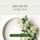내곡느티나무쉼터 | [공지] [접수중]서초구립 내곡느티나무쉼터 2025-가을 특강| 식물로 집안을 장식하는 <플랜테리어...