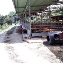 석포축사 이미지