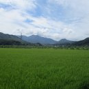 충주, 역사기행 : 청 풍 명 월~수주팔봉, 출렁다리, 팔봉서원, 임경업 장군묘, 충렬사, 단호사 탐방 이미지